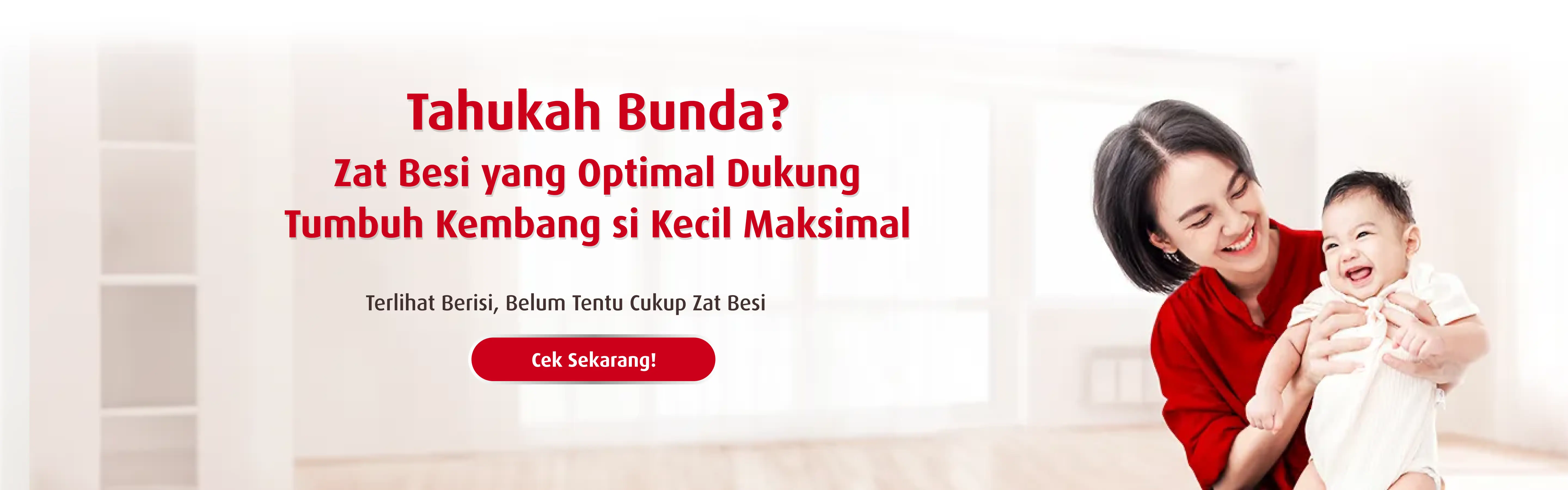 Banner Zat Besi