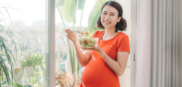 Cover Image of 11 Cara Mengatasi Anemia pada Ibu Hamil