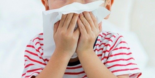 Cover Image of Alergi Pada Pernapasan