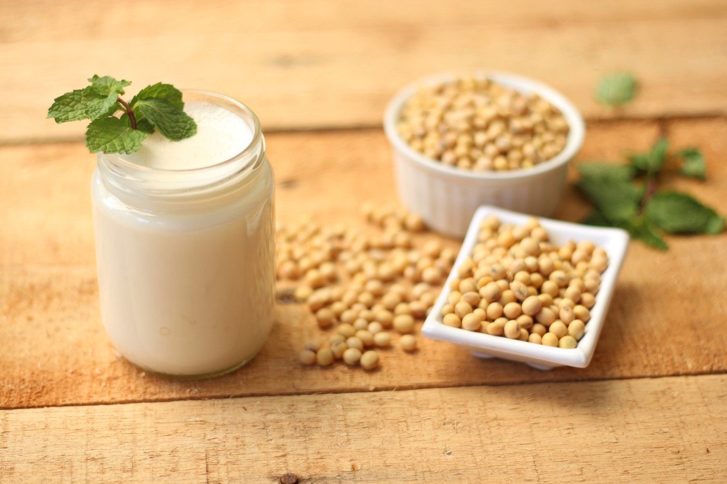 Cover Image of Susu Kacang Kedelai