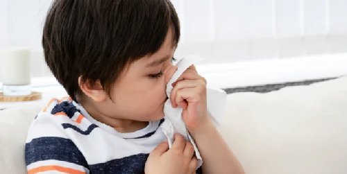 Cover Image of Reaksi Alergi Asma