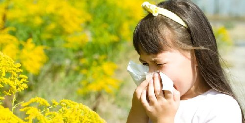 Cover Image of Reaksi Alergi