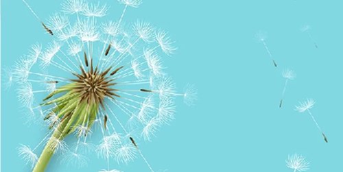 Cover Image of Pemicu Alergi