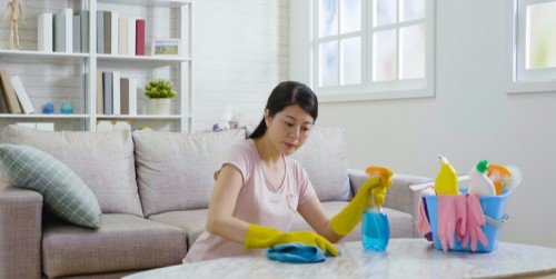 Cover Image of Kiat Membersihkan Rumah jika si Kecil Alergi