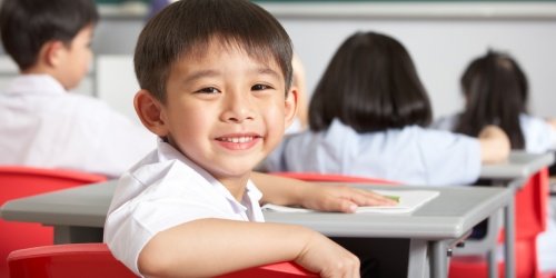 Cover Image of Hubungan Konsumsi Zat Besi dengan Prestasi Belajar Anak