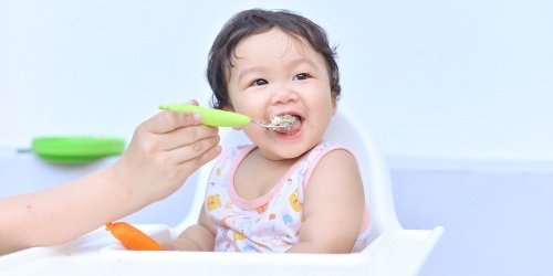 Cover Image of Tekstur MPASI 11 Bulan yang Tepat dan Cara Naiknya