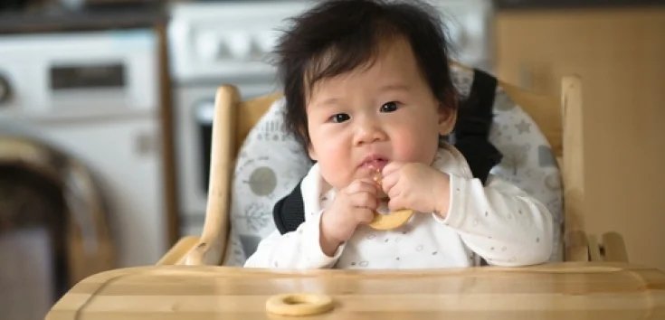 Cover Image of 10 Rekomendasi Cemilan Bayi 8 Bulan yang Enak dan Sehat