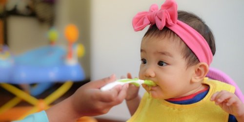 Cover Image of Panduan Jadwal MPASI 6 Bulan, Porsi, Tekstur, dan Menunya