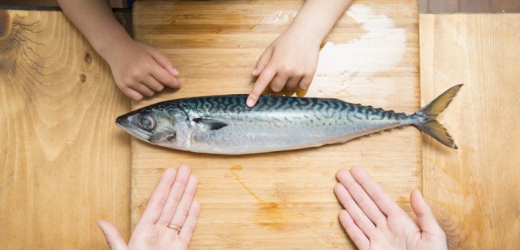 Cover Image of 10 Ikan yang Tidak Boleh untuk MPASI, Tinggi Merkuri!