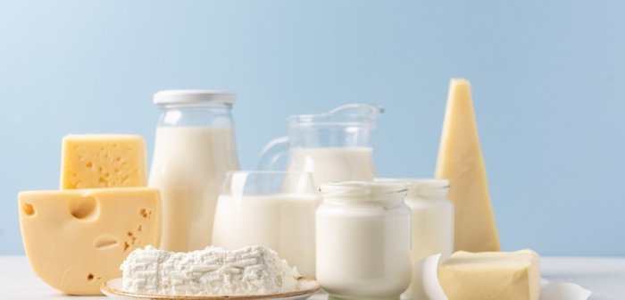 Cover Image of 10 Makanan Olahan Susu dan yang Terbuat dari Susu 