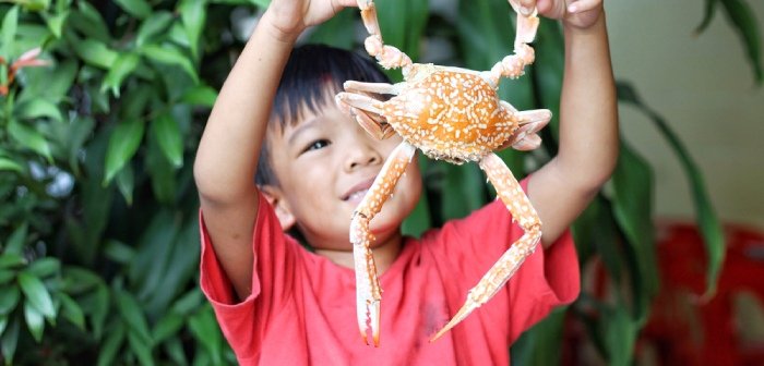 Cover Image of Alergi Makanan pada Anak: Penyebab, Gejala, dan Penanganan
