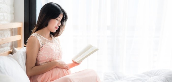 Cover Image of Perkembangan Bayi dalam Kandungan Tiap Trimester