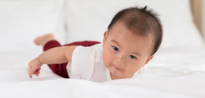 Cover Image of Milestone Perkembangan Bayi 0–6 Bulan Lengkap