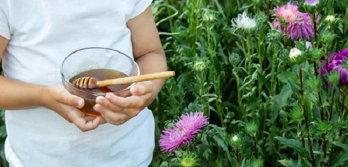 Cover Image of 8 Manfaat Madu untuk Anak & Aturan Aman Pemberiannya