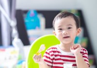 makanan untuk kecerdasan otak-sgm